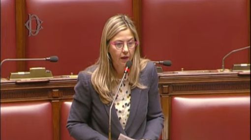 Ddl Made in Italy, Gadda: «Disorganico e fa sorridere che i sovranisti facciano come in ex Urss»