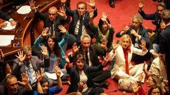 Dl sicurezza, via libera del Senato. Alta tensione e opposizioni sedute in terra per protesta Dl sicurezza, via libera del Senato. Alta tensione e opposizioni sedute in terra per protesta