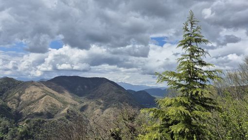 A parte la parentesi tra domani pomeriggio e giovedì, sono i giorni giusti per una gita in collina o in montagna A parte la parentesi tra domani pomeriggio e giovedì, sono i giorni giusti per una gita in collina o in montagna