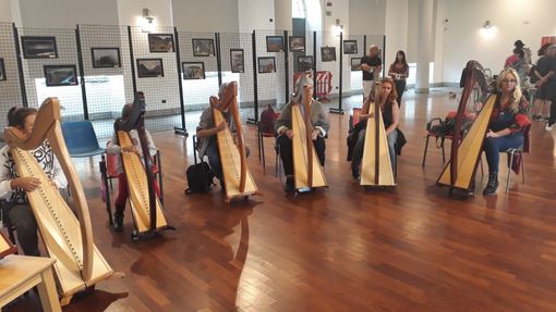 Nella giornata conclusiva, molto apprezzato lo spettacolo di falconeria Nella giornata conclusiva, molto apprezzato lo spettacolo di falconeria