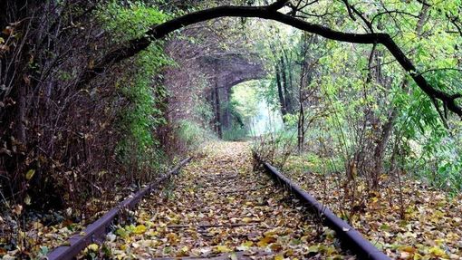 Da Regione 10 milioni per il ripristino della Ferrovia turistica della Valmorea