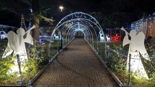 FOTO E VIDEO. Olgiate accende le luci del suo giardino incantato FOTO E VIDEO. Olgiate accende le luci del suo giardino incantato