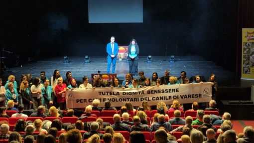Successo per la serata di beneficenza a favore del canile di Varese: i volontari chiedono tutela e dignità per animali e operatori Successo per la serata di beneficenza a favore del canile di Varese: i volontari chiedono tutela e dignità per animali e operatori
