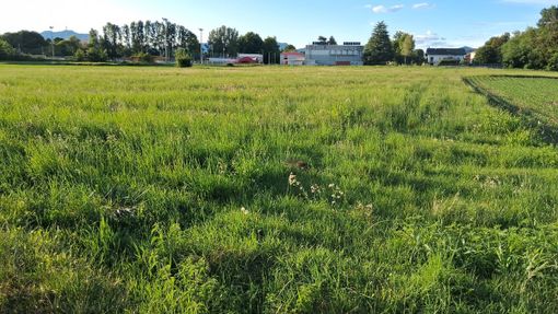 Il terreno in questione Il terreno in questione