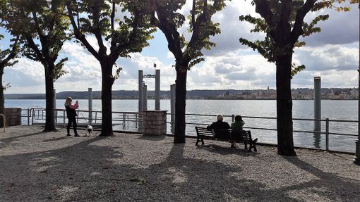Iniziati ad Angera i lavori della ciclopedonale sul lungolago Iniziati ad Angera i lavori della ciclopedonale sul lungolago
