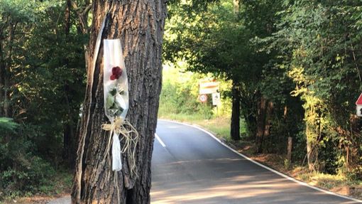 La rosa posata su un albero lungo via Varese nel punto in cui Daniele Morello è stato ucciso La rosa posata su un albero lungo via Varese nel punto in cui Daniele Morello è stato ucciso