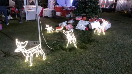 Le luci, i profumi e i colori del Natale invadono Casbeno e anche il viale di Villa Recalcati