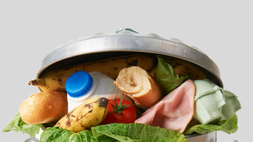 Occuparsi del cibo non è mai uno spreco