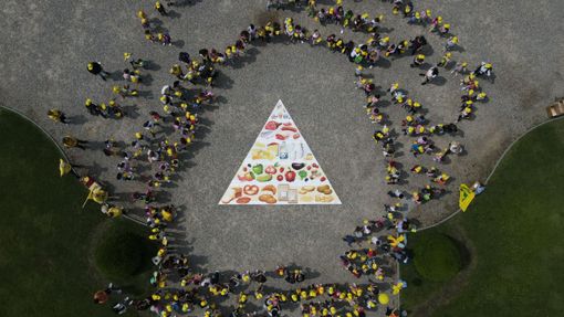 Promossa “l'agricoltura in classe” di Coldiretti