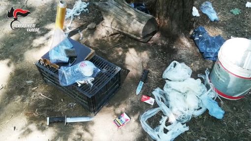 Preoccupa lo spaccio di droga nel Parco Pineta Preoccupa lo spaccio di droga nel Parco Pineta