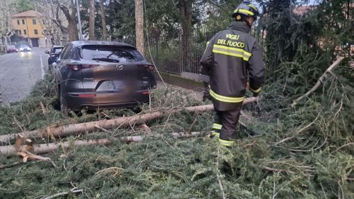 Vento forte e rischio idrogeologico: sul Varesotto resta l'allerta gialla fino a mezzanotte Vento forte e rischio idrogeologico: sul Varesotto resta l'allerta gialla fino a mezzanotte