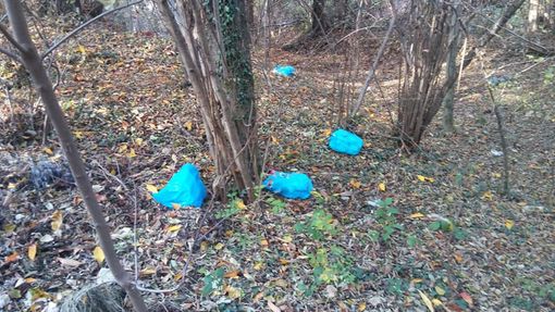 I volontari di Strade Pulite contro il nuovo "sport" degli incivili, il lancio dei sacchi dalle scarpate delle strade