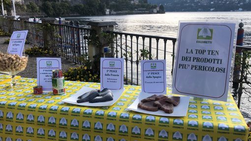 Attenzione ai cibi pericolosi dall’estero: Coldiretti Varese stila una black list per i consumatori