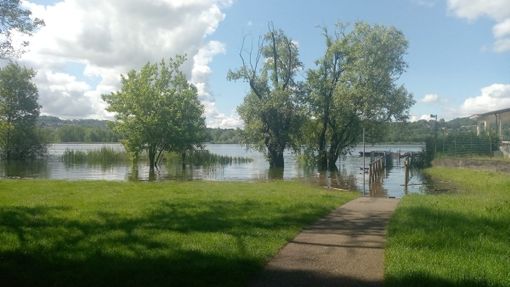 Gli effetti dell'esondazione del lago di Varese alla Schiranna