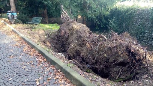 Parco Mantegazza, visto da... dentro: «Buche, tombini tappati, giochi vecchi, pericoli»