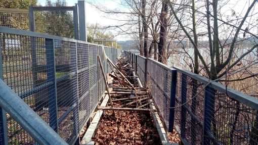 FOTO - Malandata, impercorribile, chiusa: la passerella sul lago alla Schiranna