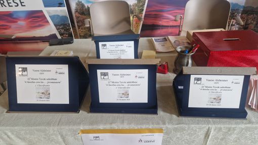 Varese Alzheimer, premiate le migliori "Tavole Addobbate" Varese Alzheimer, premiate le migliori "Tavole Addobbate"