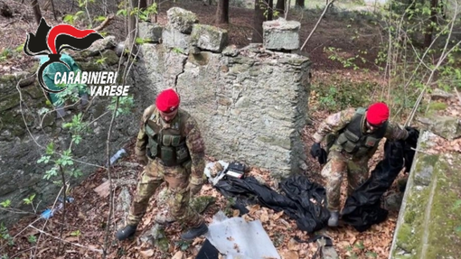 Controlli anti droga anche nei boschi di Malnate e Vedano: trovati due fucili, proiettili e soldi Controlli anti droga anche nei boschi di Malnate e Vedano: trovati due fucili, proiettili e soldi