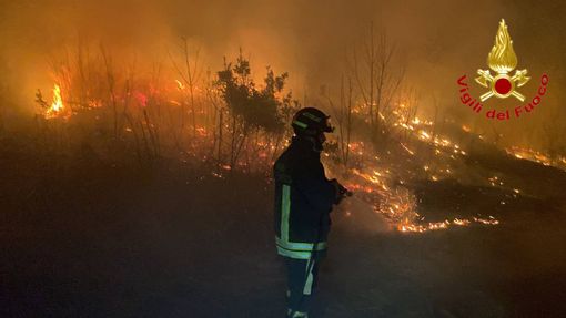 Domato l'incendio di Montegrino, in fumo sono andati cento ettari di bosco Domato l'incendio di Montegrino, in fumo sono andati cento ettari di bosco