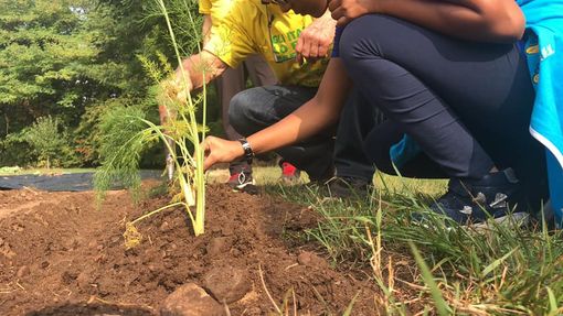 Giovani e ambiente, al via il corso gratuito per realizzare un orto sinergico