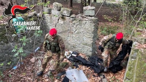 I Carabinieri "Cacciatori" per la lotta allo spaccio nei boschi del Varesotto I Carabinieri "Cacciatori" per la lotta allo spaccio nei boschi del Varesotto