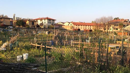 Orti urbani, è online il bando. Sono 86 le aree in concessione, domande entro il 10 marzo