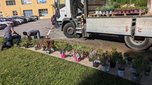 L'azienda Zeiss sposa la biodiversità: piantumati fiori e cespugli nel giardino dello stabilimento di Castiglione Olona