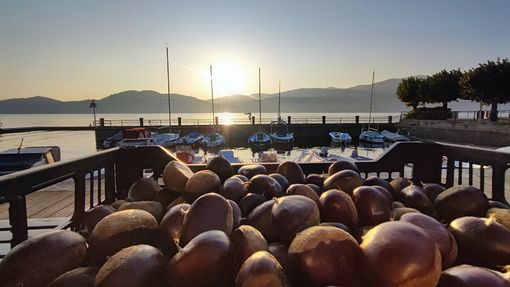 (foto dalla pagina Facebook della Pro Ranco) (foto dalla pagina Facebook della Pro Ranco)