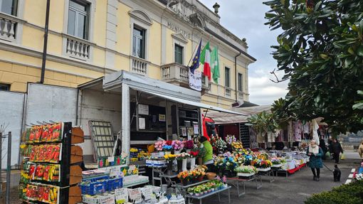 Dopo quattro anni in periferia, il mercato settimanale di Sesto Calende è tornato in centro città Dopo quattro anni in periferia, il mercato settimanale di Sesto Calende è tornato in centro città