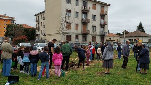 Gli alunni della Maria Ausiliatrice piantano sedici nuovi alberi al parco dei Platani