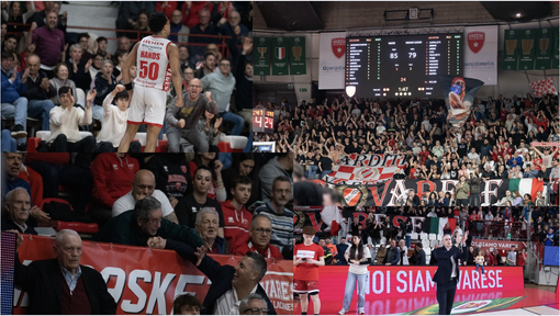 Quattro immagini simbolo della serata salvezza di Masnago. Dall'alto in senso orario: l'esultanza di Hands, un uomo solo al comando; la curva gremita del Lino Oldrini; coach Ioannis Kastritis, osannato nel dopo partita; Luis Scola dà la mano a un tifoso in tribuna, dopo le grandi polemiche delle scorse domeniche. Questi scatti e tutti quelli della gallery sono di Fabio Averna Quattro immagini simbolo della serata salvezza di Masnago. Dall'alto in senso orario: l'esultanza di Hands, un uomo solo al comando; la curva gremita del Lino Oldrini; coach Ioannis Kastritis, osannato nel dopo partita; Luis Scola dà la mano a un tifoso in tribuna, dopo le grandi polemiche delle scorse domeniche. Questi scatti e tutti quelli della gallery sono di Fabio Averna