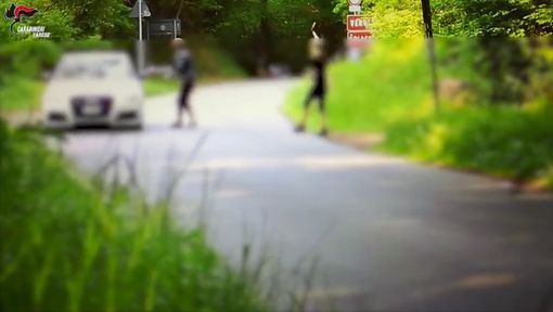 VIDEO. Avevano trasformato i boschi tra Sesto e Vergiate in un supermercato della droga: i carabinieri smantellano banda di spacciatori