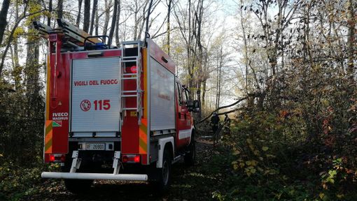 Alberi caduti sul sentiero del Porticciolo, vigili del fuoco in azione