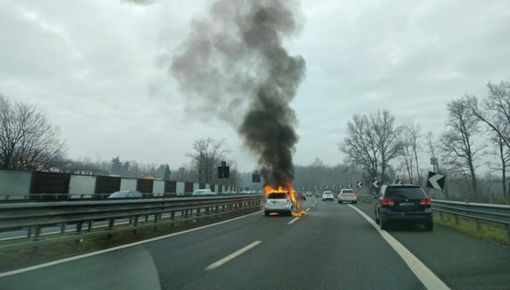 (foto dal gruppo Facebook "Gallarate è"