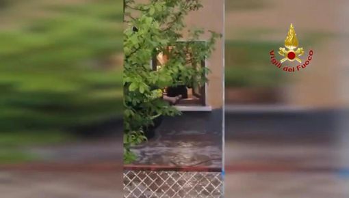 I vigili del fuoco portano in salvo una persona dal primo piano della sua abitazione a Induno
