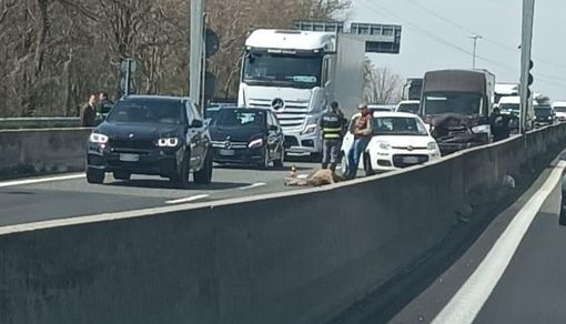 Foto dal gruppo Facebook "Sei di Samarate se..."