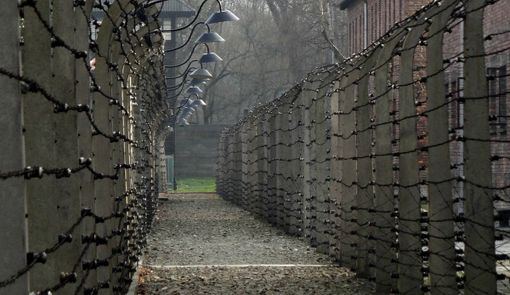 «Ministra Roccella, quelle ad Auschwitz non erano "gite". Spero voglia chiedere scusa alle mamme che non hanno rivisto i propri figli inceneriti»