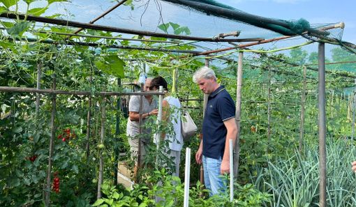 Visita agli Orti Urbani di Bizzozero per il sindaco Galimberti e l'assessora San Martino