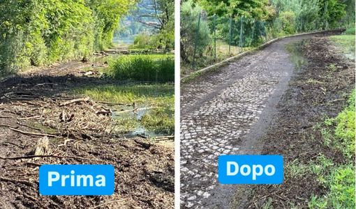 I risultati del grande lavoro dei volontari sulla pista ciclabile di Biandronno