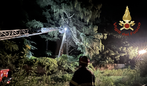 (foto d'archivio) (foto d'archivio)