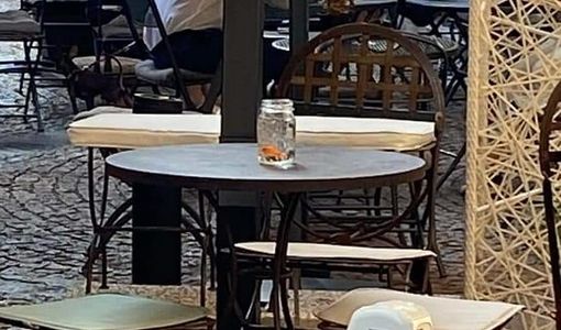 Pesci rossi usati come centrotavola in un bar di Varese. Scoppia la polemica