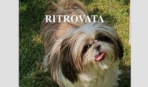 Ritrovata Charlotte a Castellanza Ritrovata Charlotte a Castellanza