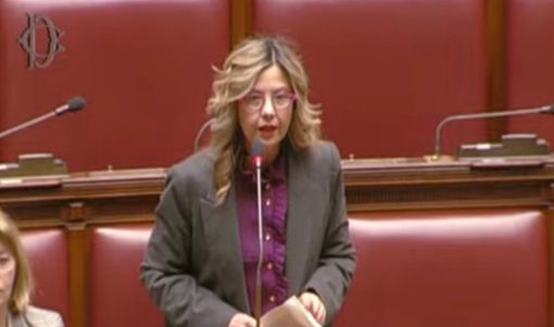 Peste suina, Gadda: «Da Governo risposta da burocrati» Peste suina, Gadda: «Da Governo risposta da burocrati»