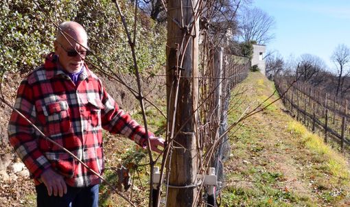 Quell'angolo di Langhe ad Azzate dove nasce il vino dei ristoranti stellati. «Tutto iniziò da una torre ottocentesca, una piccola vigna e una cascina...»