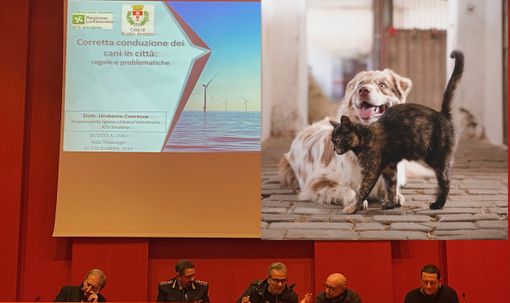Cento cani per chilometro quadrato (e chissà quanti gatti): ecco come rispettare la loro natura e le regole Cento cani per chilometro quadrato (e chissà quanti gatti): ecco come rispettare la loro natura e le regole