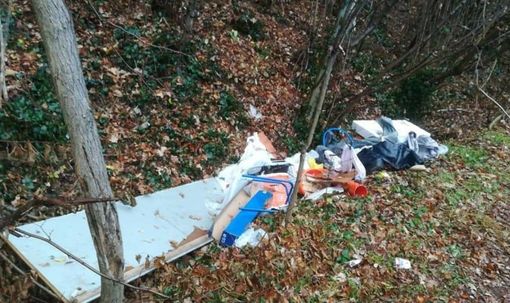 Tradate, scarica rifiuti nei boschi: individuato e sanzionato Tradate, scarica rifiuti nei boschi: individuato e sanzionato