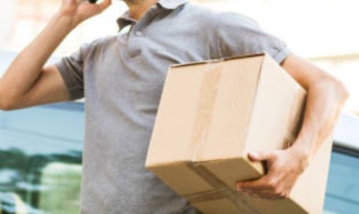 Ladro del pacco di Natale in azione a Besano