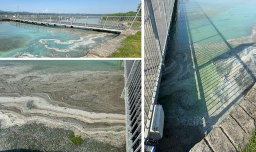 Lo stato dell'acqua al lido di Bodio nei giorni scorsi immortalato negli scatti di Gianluca Bertoni e dalle segnalazioni giunte in redazione