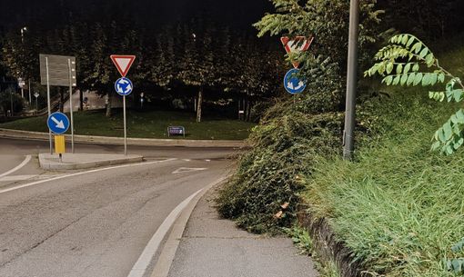 LA SEGNALAZIONE. Marciapiede come una "giungla": «Tratto impraticabile, perché si dimenticano di sfalciarlo?»
