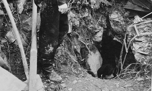 Sfregio al cippo commemorativo dei Martiri delle Foibe, CasaPound: «Atto vigliacco, vigileremo su ripristino monumento»